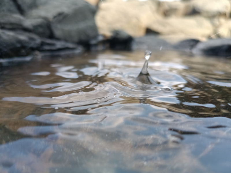 氨氮超标