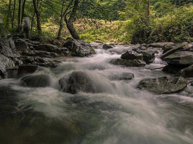 自来水消毒用什么消毒剂