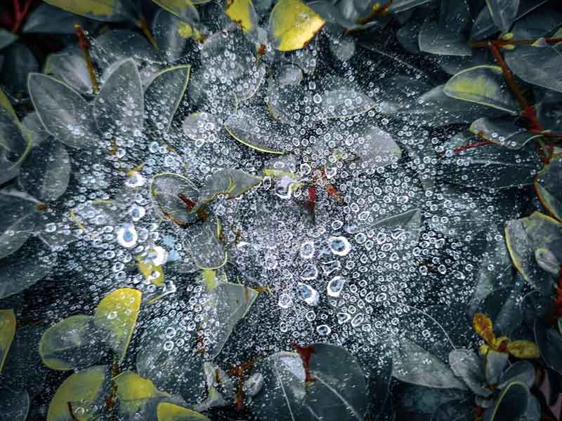 水质生物毒性在线监测系统原理