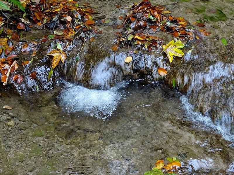 地表水环境质量
