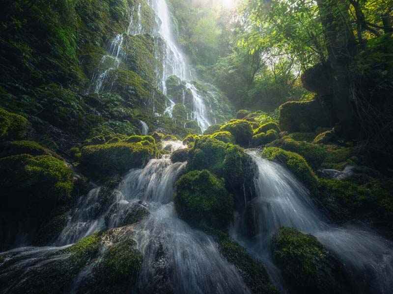 水质生物毒性监测系统的应用