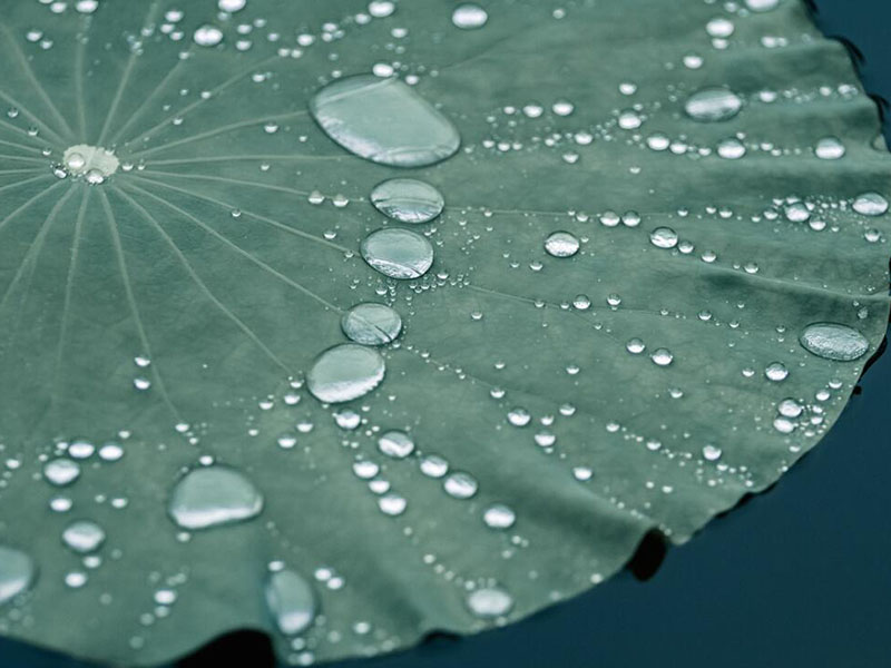 水质毒性快速检测仪的优势
