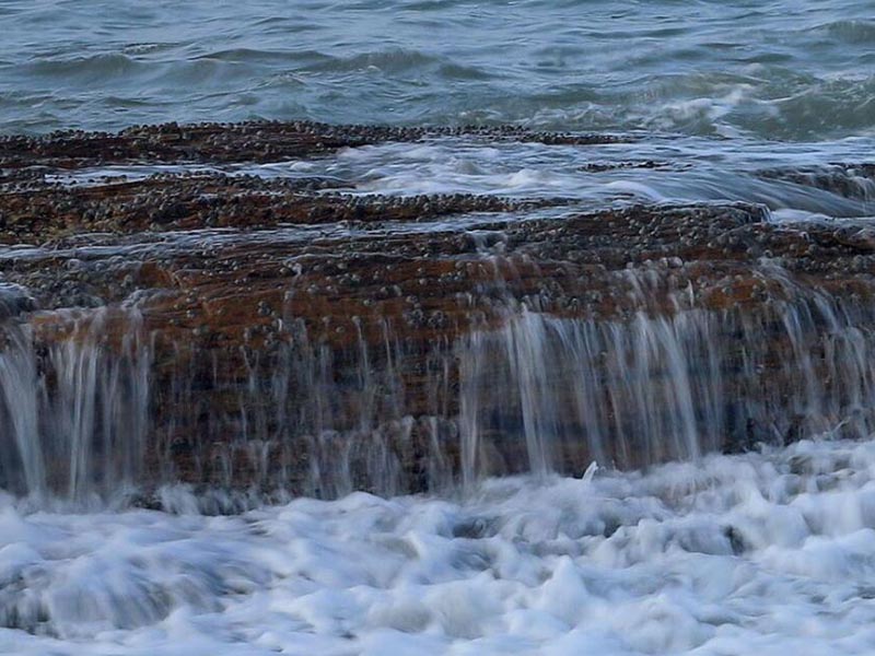 水质生物毒性检测方法有哪几种