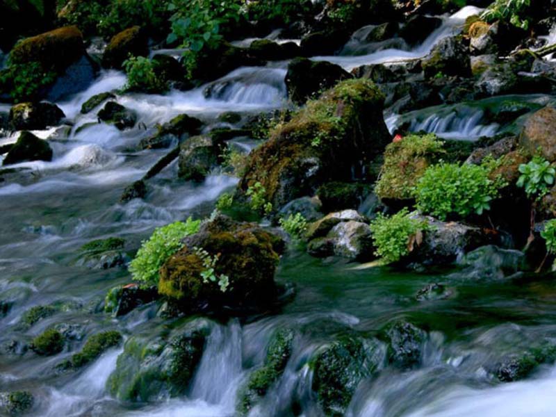 水质生物毒性检测方法汇总