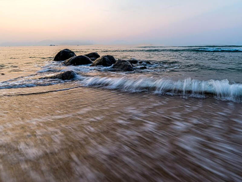 水质生物毒性检测仪可以检测重金属吗