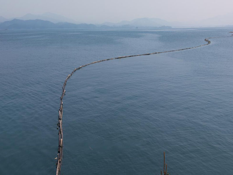 发光细菌法水质生物毒性检测仪的优势