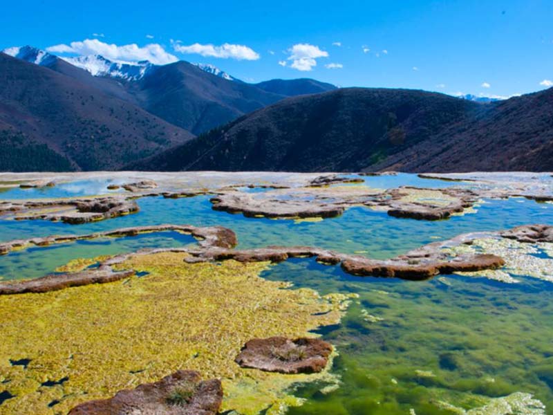 水质生物毒性在线监测系统优势