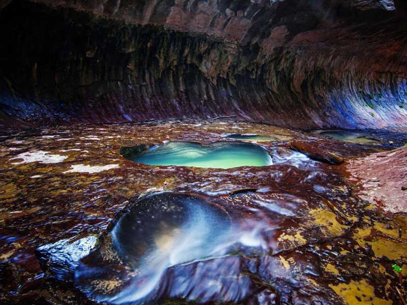 水质生物毒性检测有哪些方法
