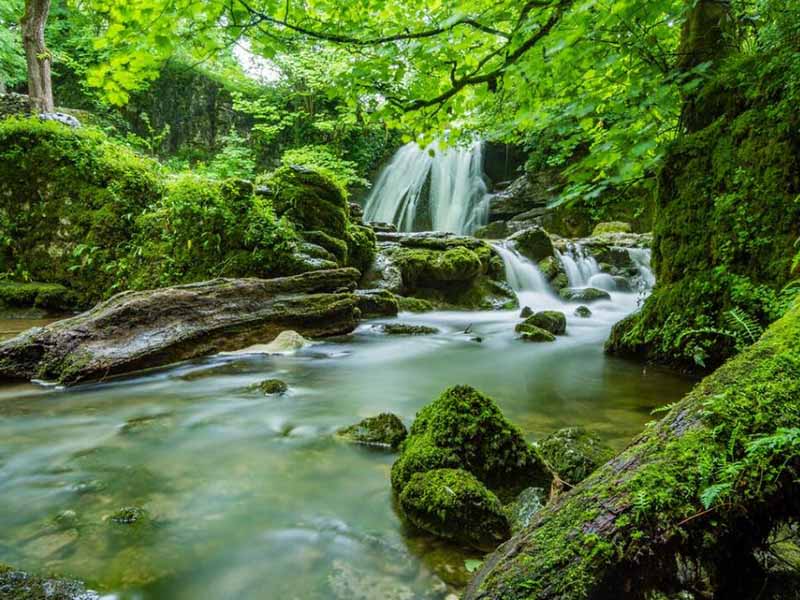 地表水汛期污染强度监测技术指南