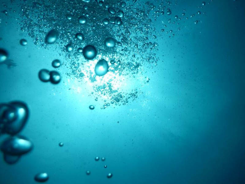 哪里可以使用水质生物毒性监测仪