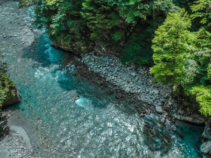 水质生物毒性在线分析仪好用吗