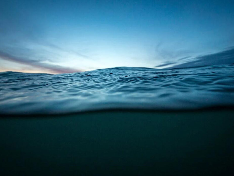 水质生物毒性检测方法介绍