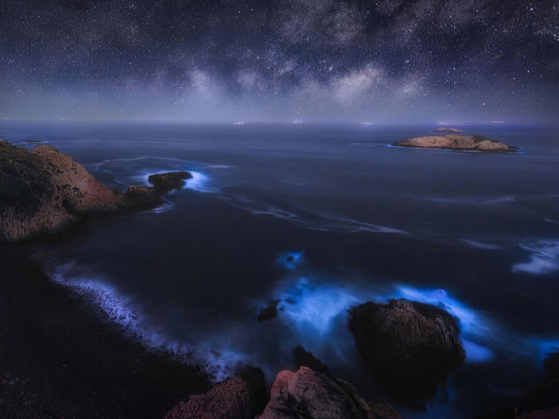 水质生物毒性检测是什么意思