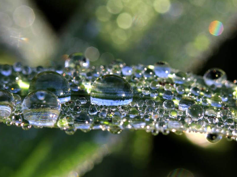 水质生物毒性检测仪的特征