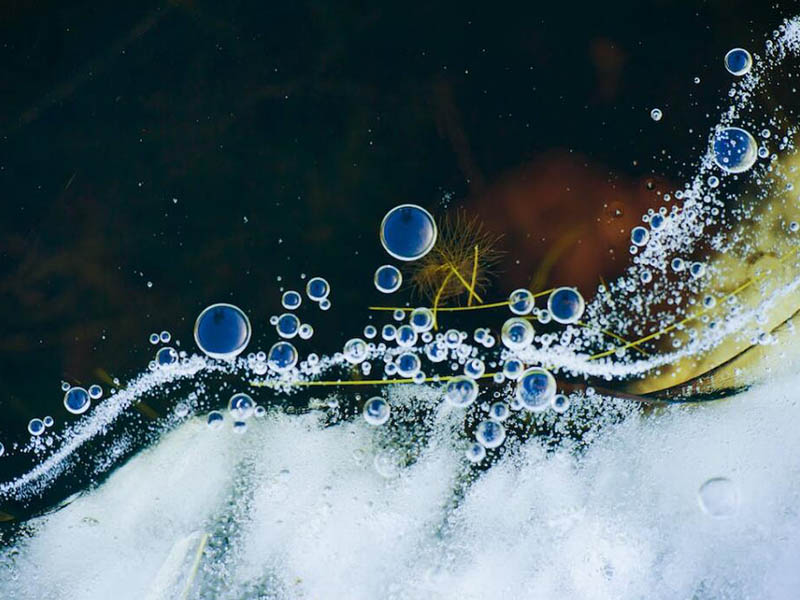 便携式水质生物毒性检测仪功能