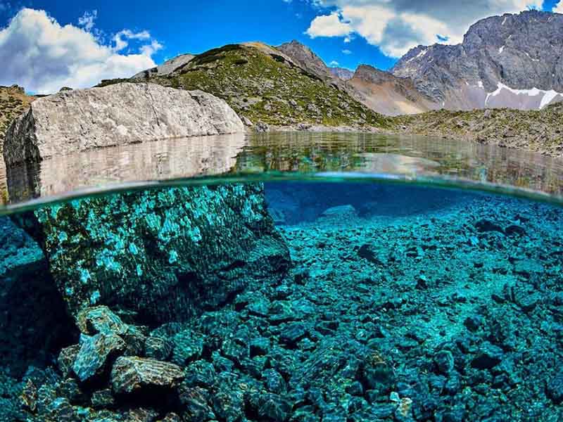 水质生物毒性在线监测仪技术参数