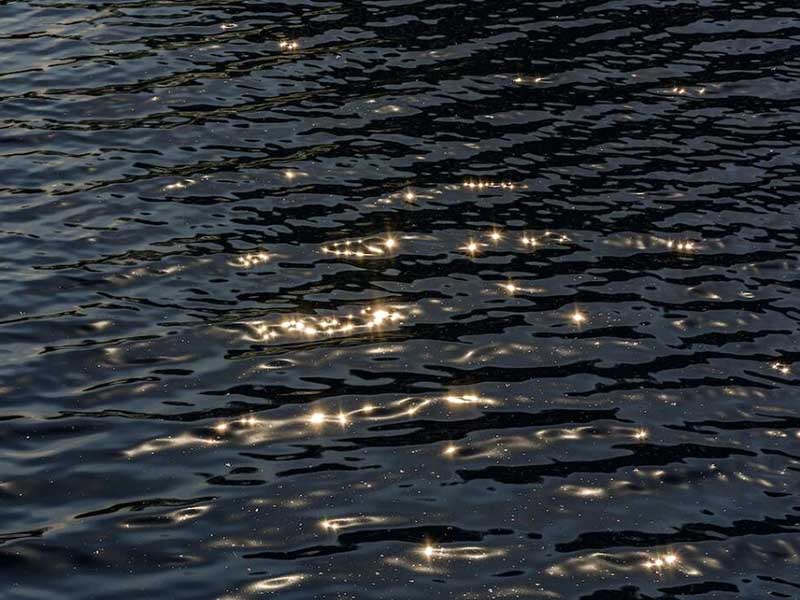 水质生物毒性检测标准