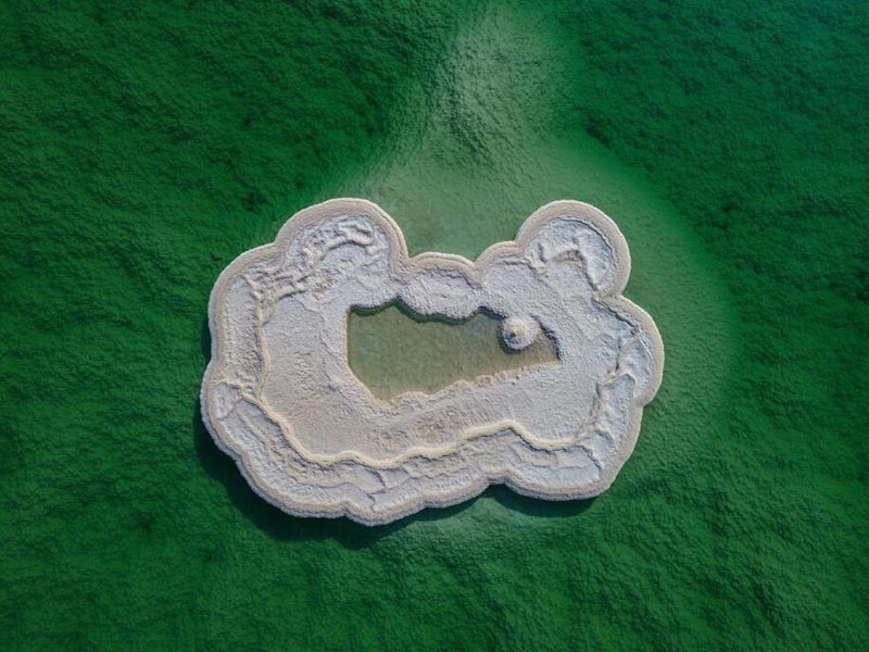 水质生物毒性监测常用方法