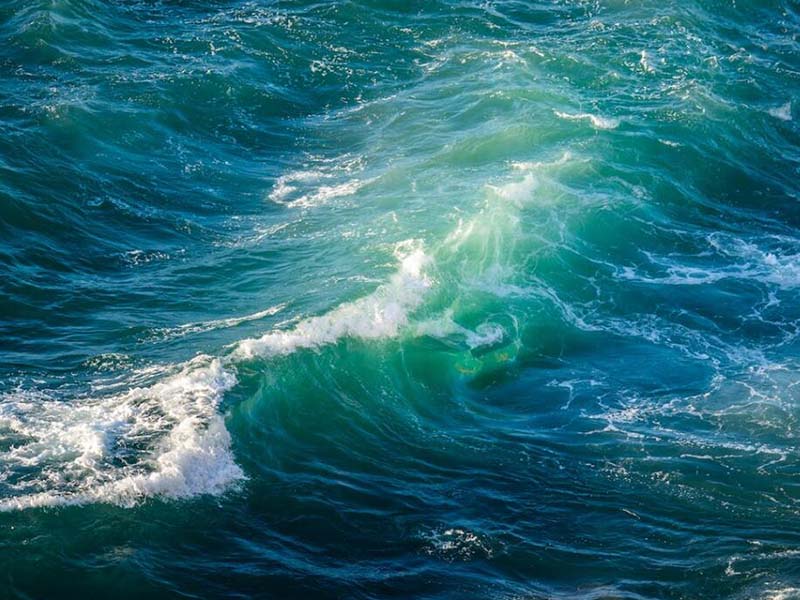 水质生物毒性检测的意义