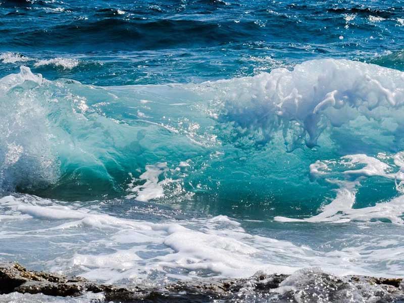 废水生物毒性检测方法及标准