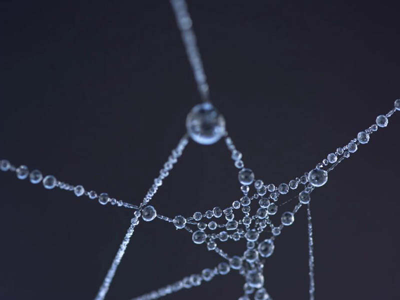水质生物毒性检测仪多少钱