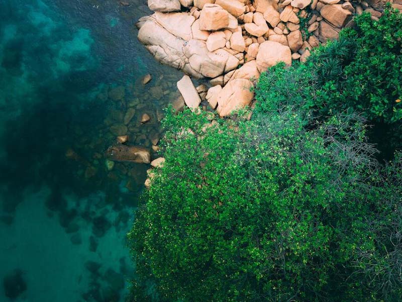 水质生物毒性检测仪检测速速快吗