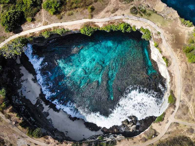 水质生物毒性检测仪类型