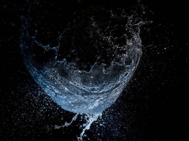 废水生物毒性检测仪检测原理
