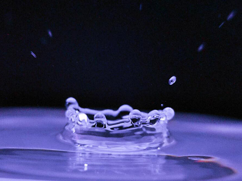 水质生物毒性检测仪分类