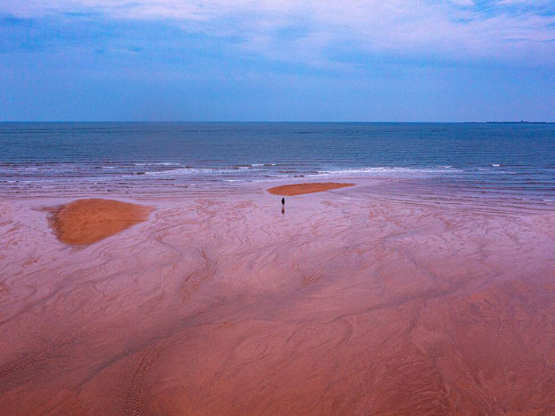 手持式生物毒性检测仪检测时间