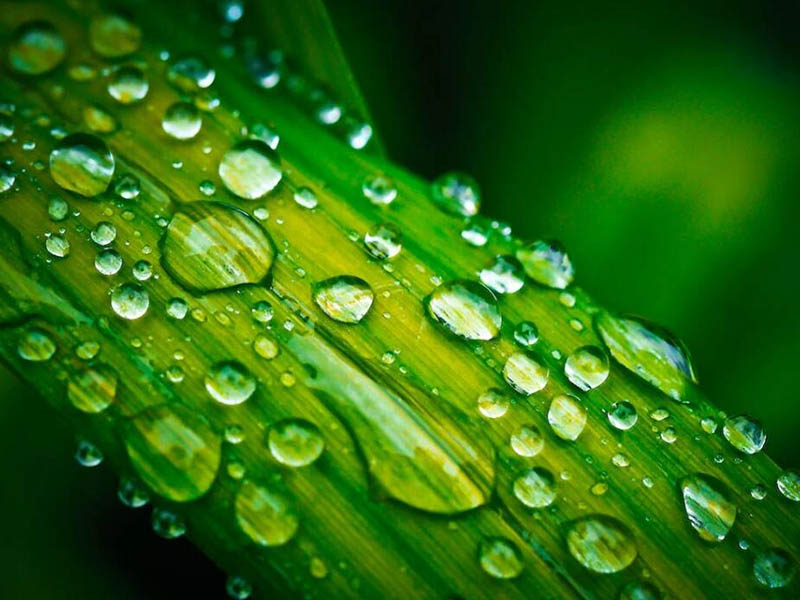 水质生物毒性分类