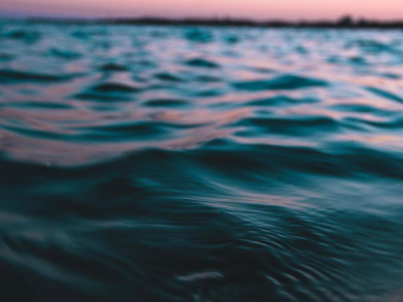 水质生物毒性该怎么检测
