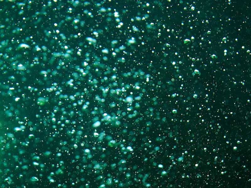 水质生物毒性监测的意义
