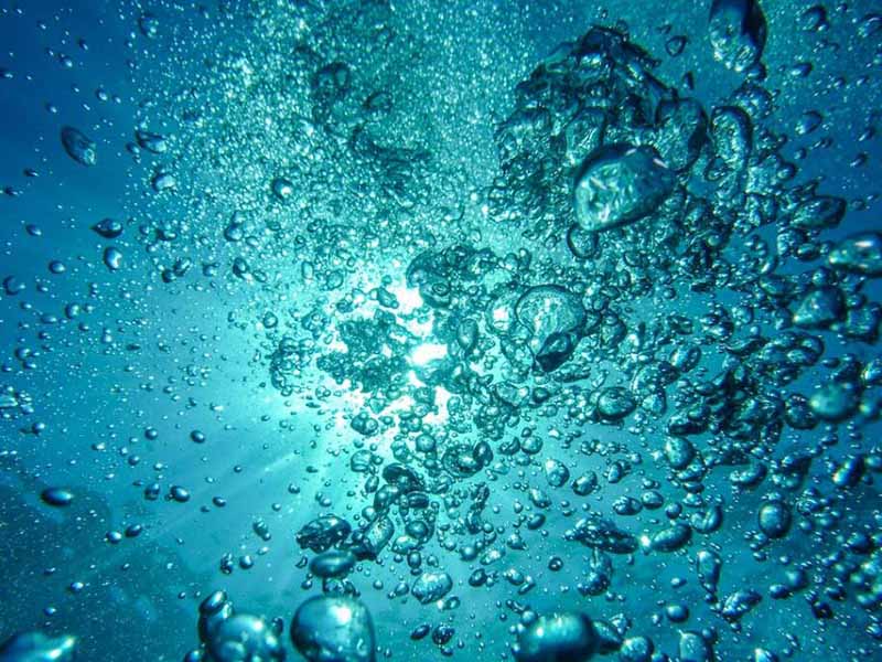 常用的水质生物毒性检测方法