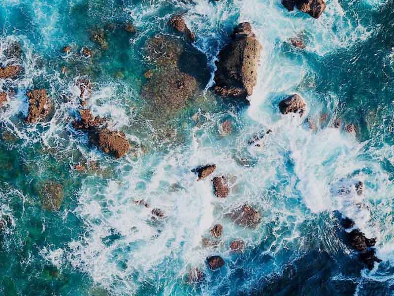 水质生物毒性检测仪主要测哪个指标