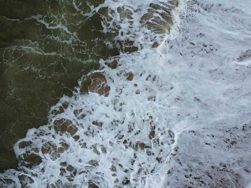 水质生物毒性的分类