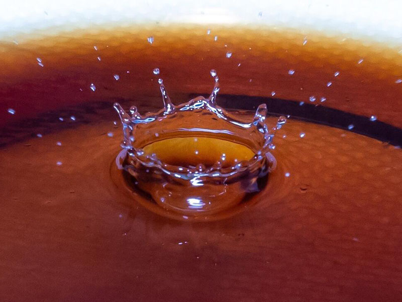 水质生物毒性判定指标