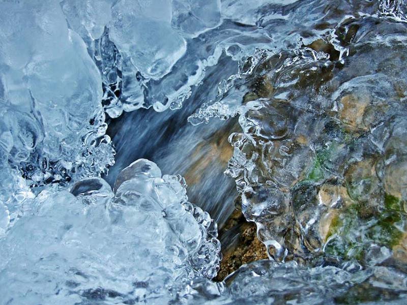 水质生物毒性分析仪价格