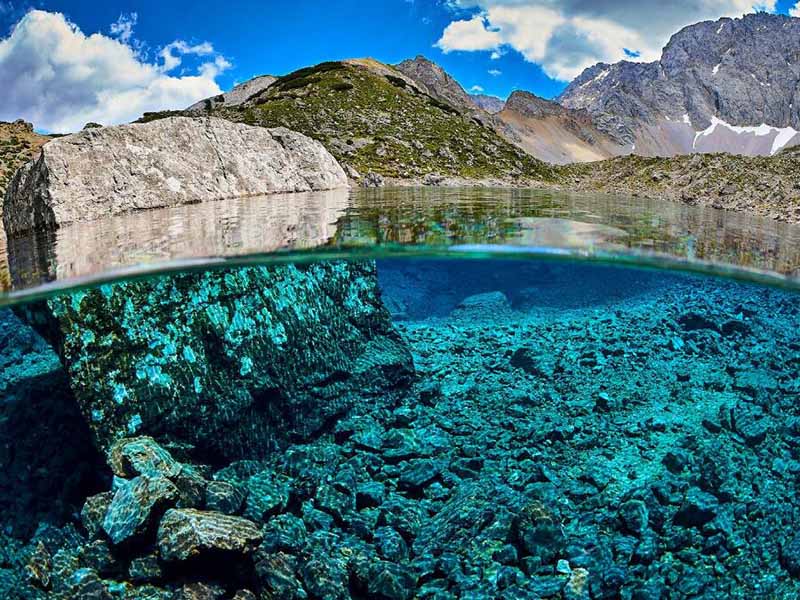 水质生物毒性检测技术改进要求