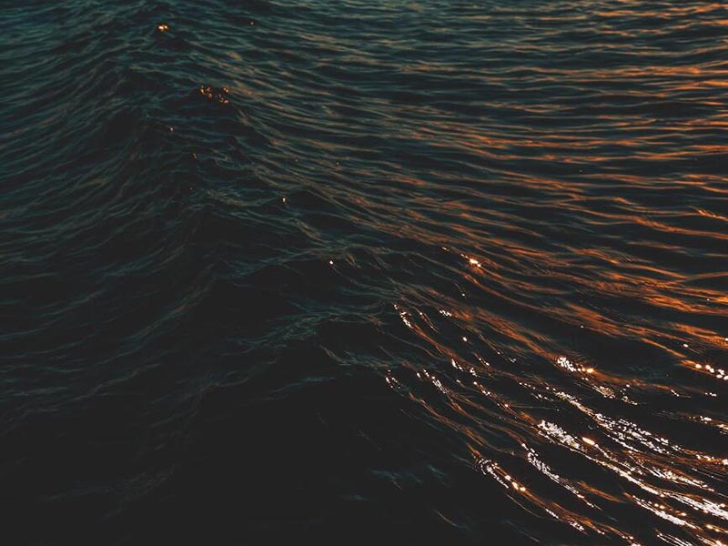 水质毒性检测仪的检测原理