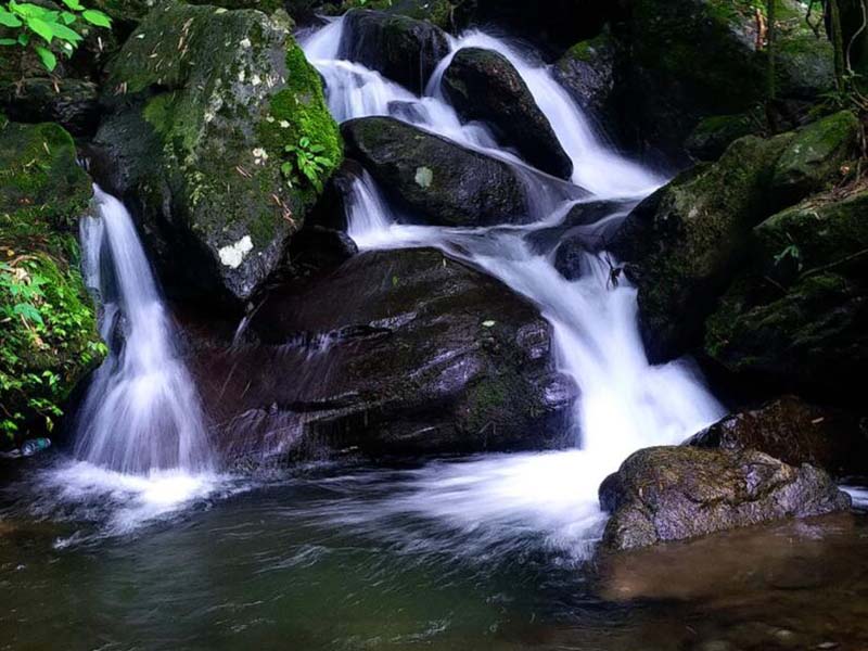 水质生物毒性检测标准