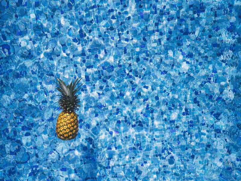 水质生物毒性检测仪适用领域