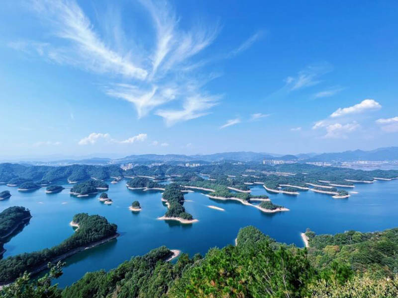 污水生物毒性监测适用范围