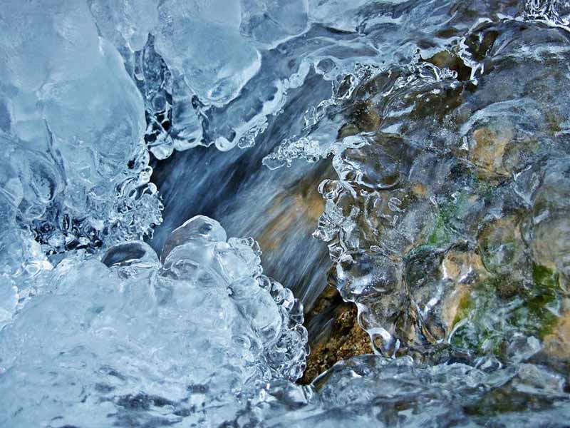 生物毒性检测仪可以检测重金属吗