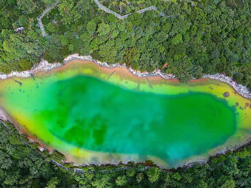 水质生物毒性检测仪分类