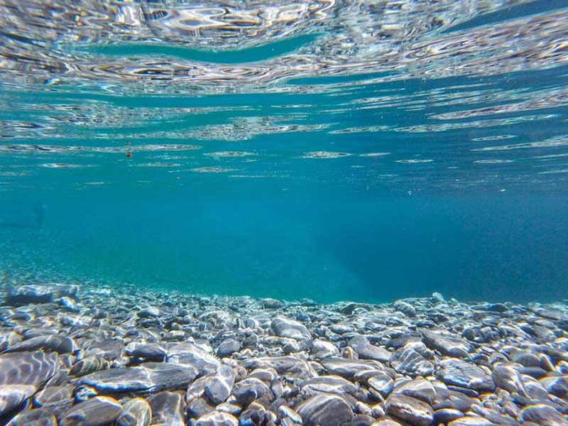 哪种水质生物毒性检测方法比较好