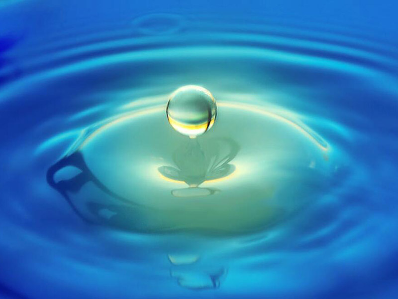 水质生物毒性检测仪功能特点