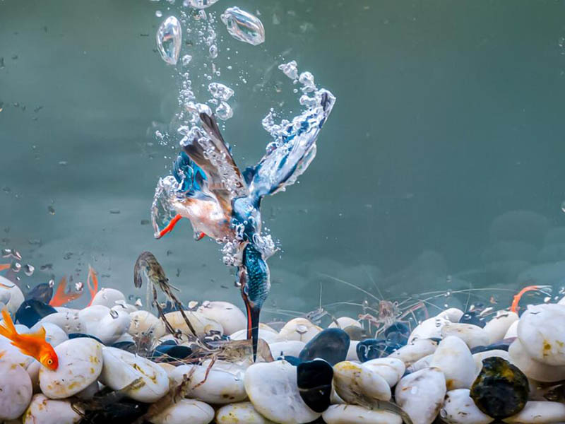 手持水质生物毒性检测仪两种检测模式