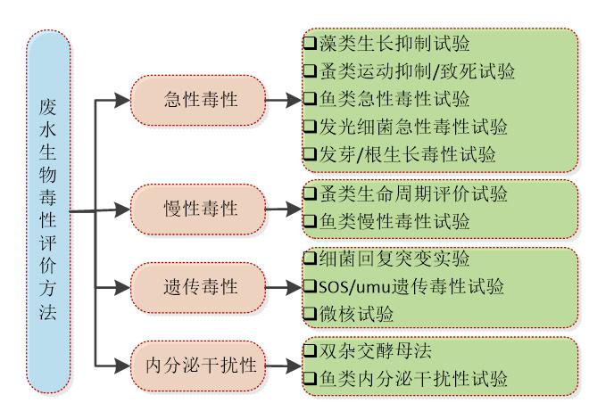 废水生物毒性评价方法