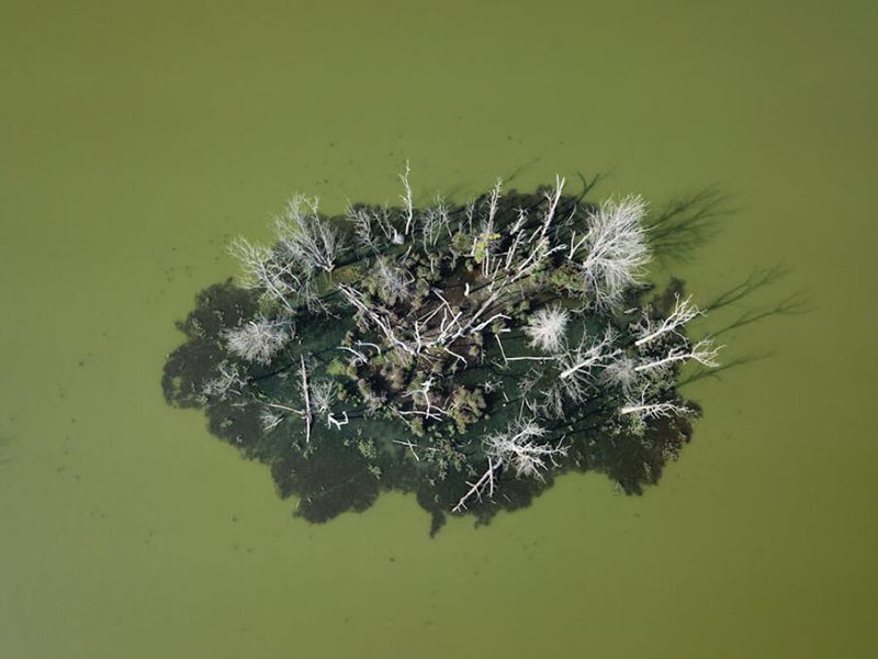 便携式水质生物毒性检测仪说明书